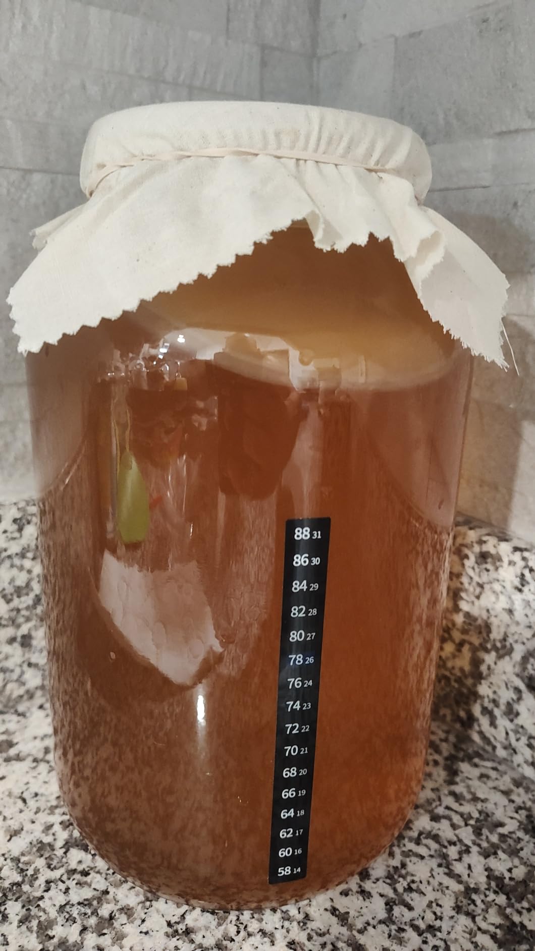 Starter Kit - Includes Organic SCOBY, Starter Liquid, 1 Gallon Glass Jar, Temp Gauge, Tea, and Sugar customer photo 1