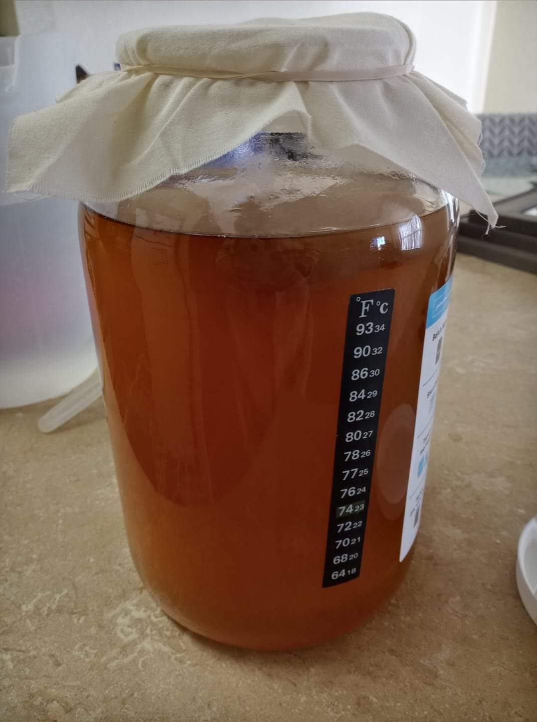 Starter Kit - Includes Organic SCOBY, Starter Liquid, 1 Gallon Glass Jar, Temp Gauge, Tea, and Sugar customer photo 2
