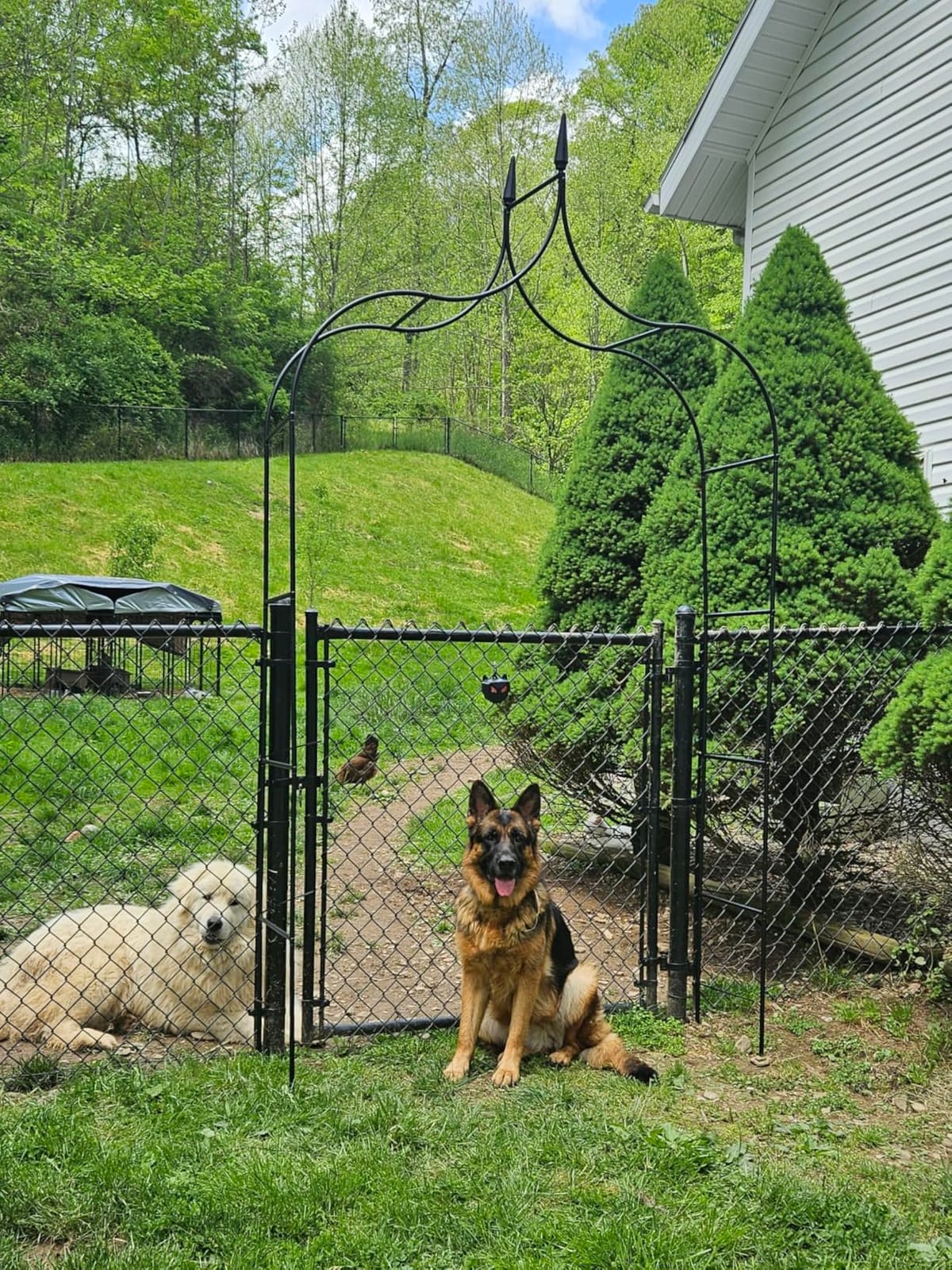 kinbor Garden Arches Arbor, Outdoor Black Metal Arbor, Wedding Archway customer photo 1