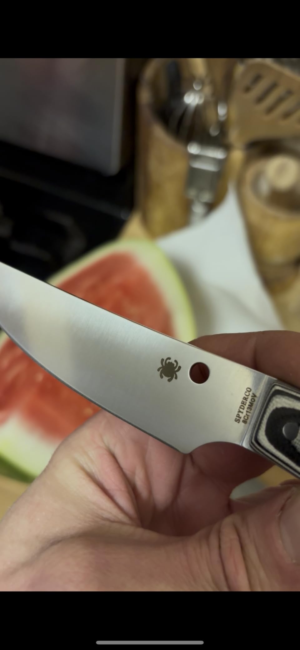 Spyderco Bow River Fixed Blade Outdoor Hunting Knife, PlainEdge | 8.14