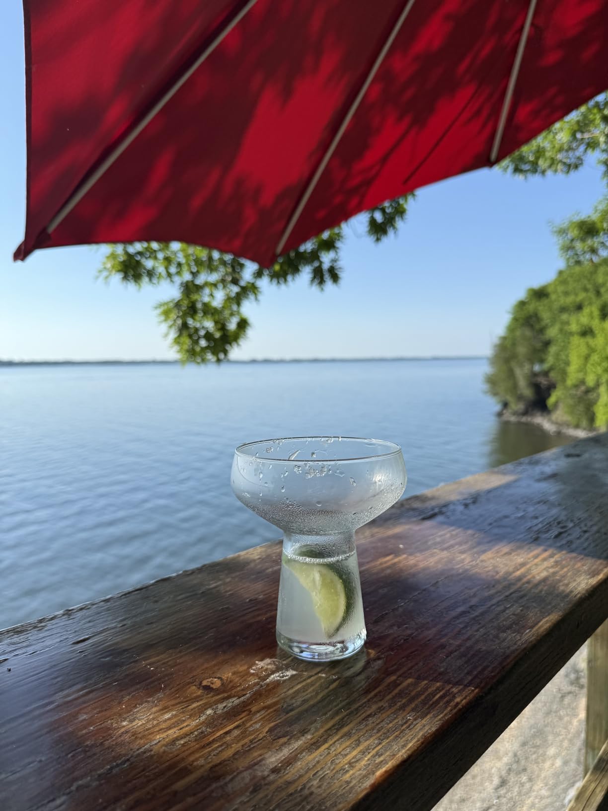 Libbey Stemless Margarita Glasses Set of 6, 10.25 ounces Classic Lightweight Margarita Cups, Fancy Glassware Set for Celebrations customer photo 1