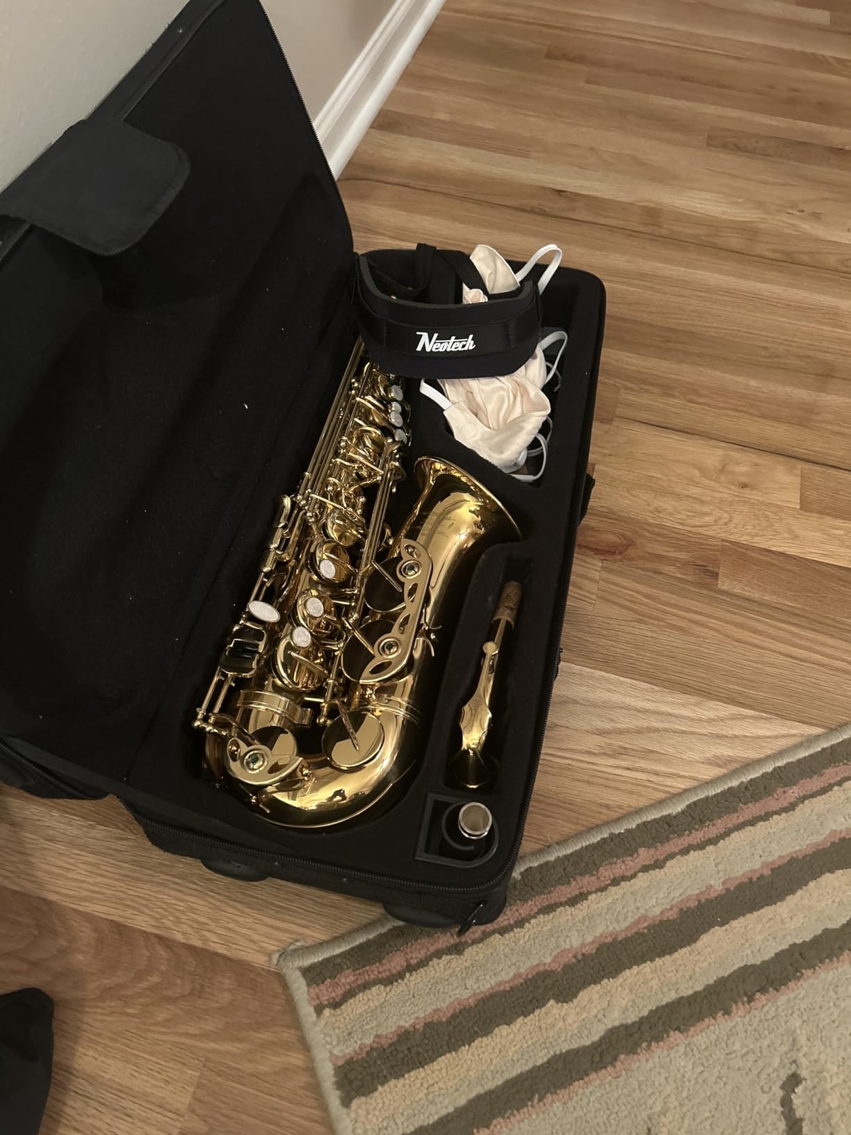 Eastar Student Alto Saxophone E Flat for Beginner Sax Full Kit with Carrying Case, Mouthpiece, Straps, Reeds, Stand, Golden Lacquer, AS-Ⅱ customer photo 1