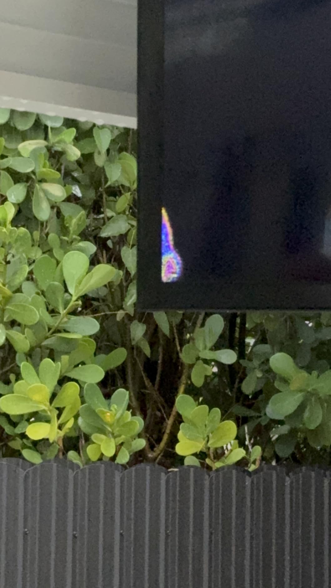 SunBrite Veranda 2 Series 43-inch Full Shade Outdoor TV | 4K Ultra HD HDR LED Weatherproof Television - Direct Lit LED Screen with All-Weather Remote (SB-V-43-4KHDR-BL) customer photo 2