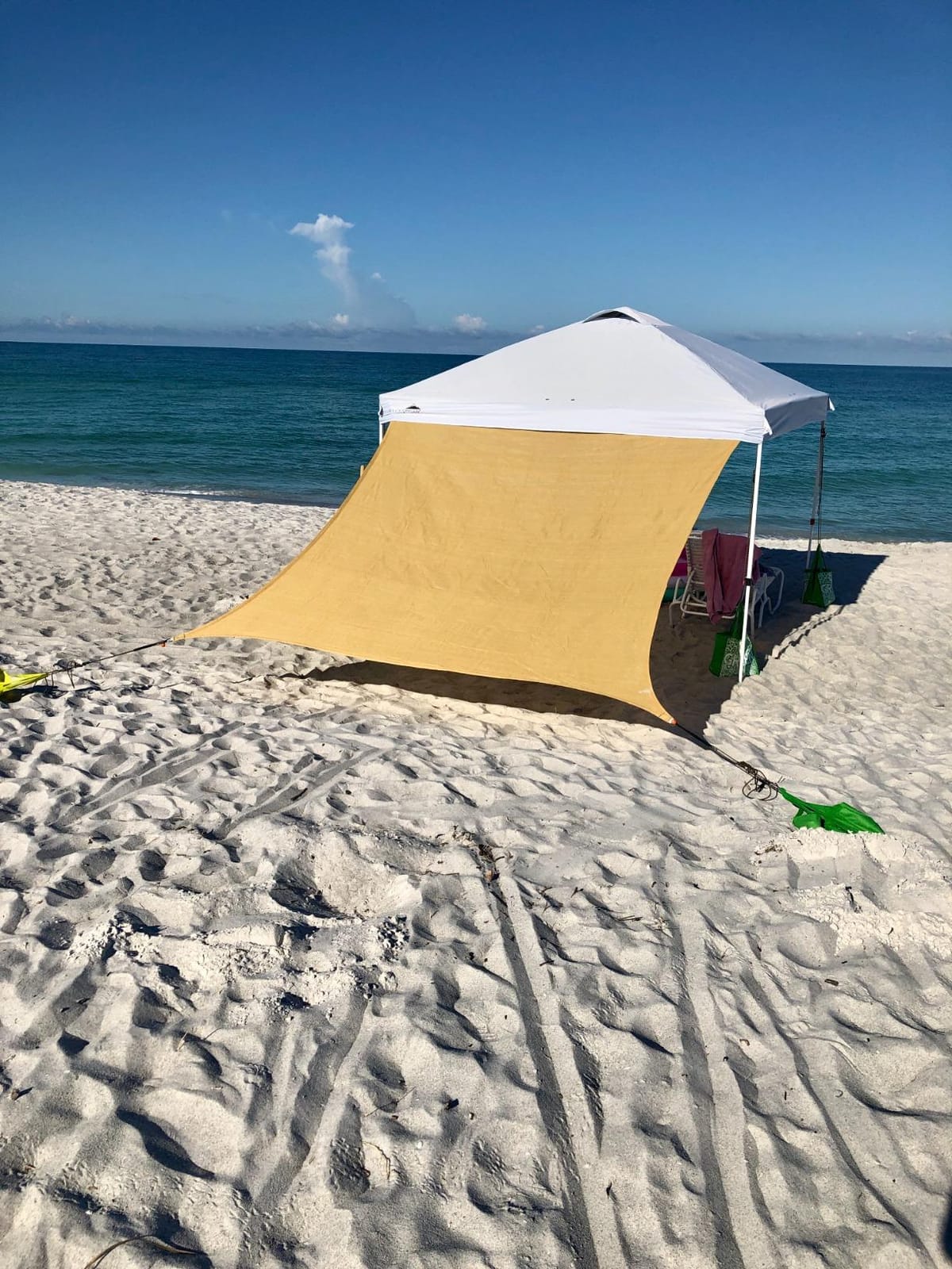 EAGLE PEAK 10x10 Pop Up Canopy Tent Easy Up Canopy Outdoor, Blue | Patented PeakPush Center Lock, 1 Person Setup Portable Pop Up Tent, Beach, Markets, Camping Sport Events, Wheeled Carry Bag customer photo 2