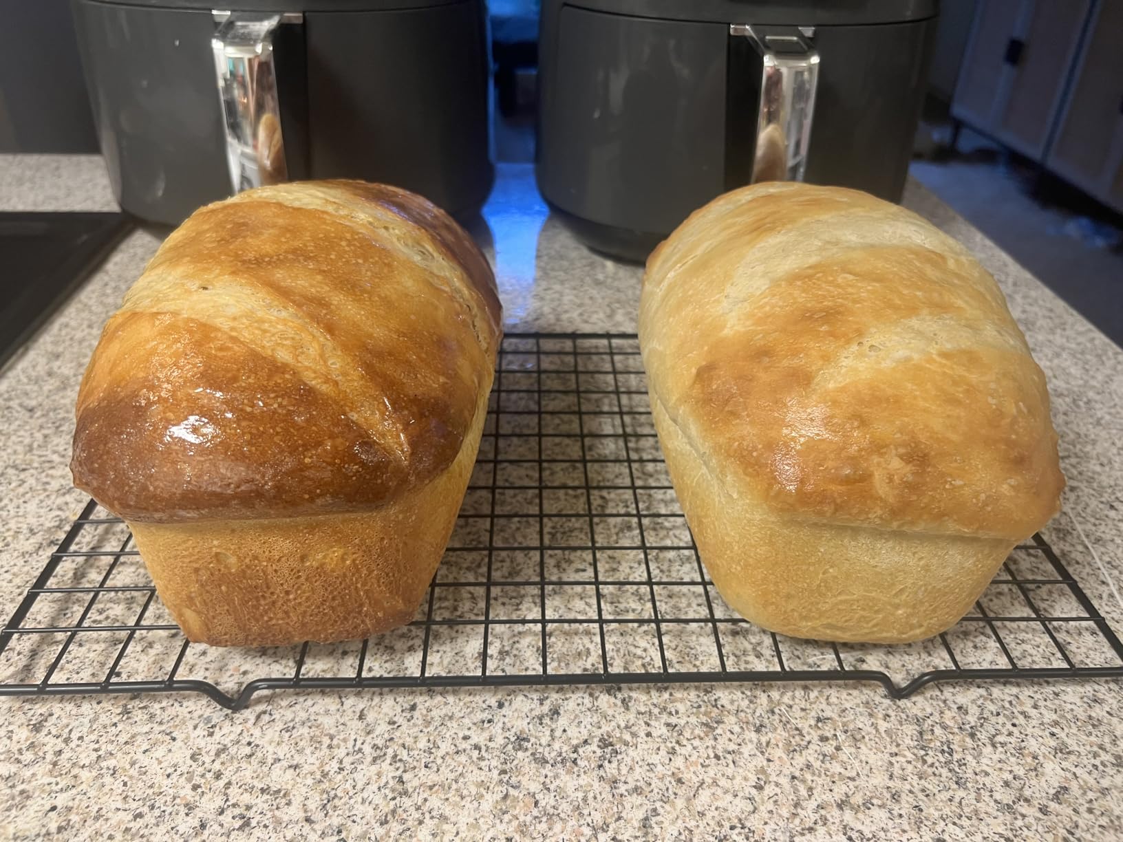2 Pack Silicone Bread and Loaf Pans | Nonstick Baking Pans for Loaves, Breads and Meatloaf, Healthy & Sturdy, Easy Release & Easy Clean customer photo 1