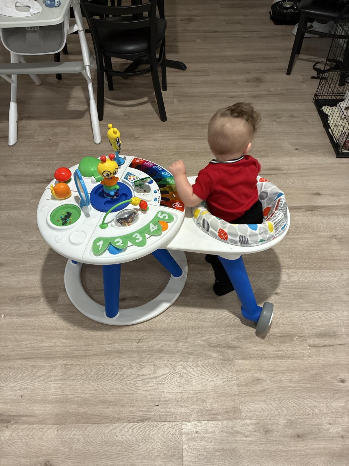 Baby Einstein 4-in-1 Activity Center & Walker with Piano, Age 6M+ | 4 ways to grow: walker, discovery table, art table & floor play customer photo 1