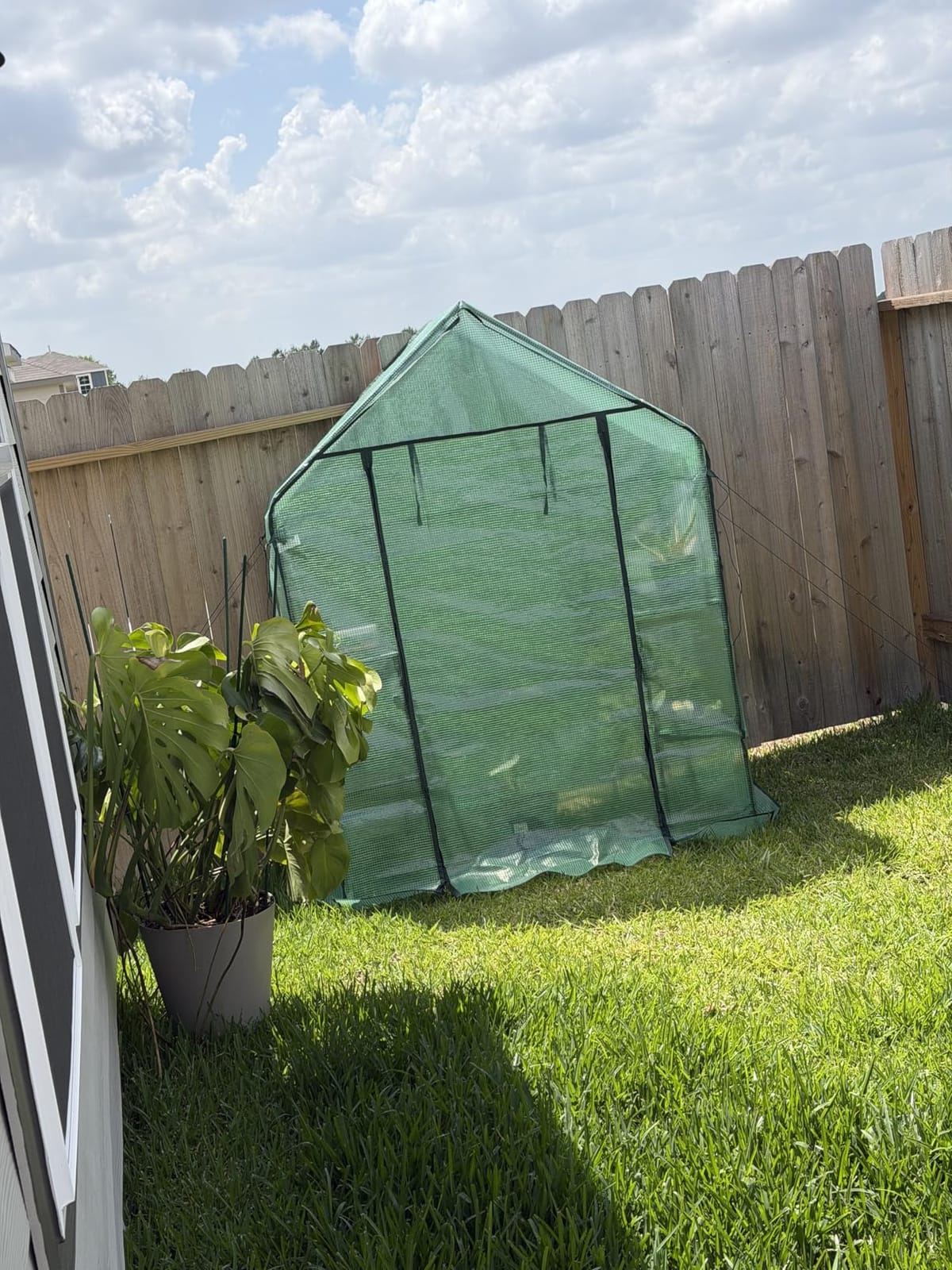 Ohuhu Greenhouse for Outdoors with Screen Windows, 57 x 57 x 76'' Walk in Plant Greenhouses Heavy Duty with Durable PE Cover, 3 Tiers 12 Shelves Stands Plastic Portable Green House with Shelf Clips customer photo 1