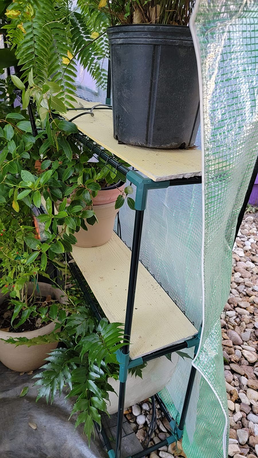 Ohuhu Greenhouse for Outdoors with Screen Windows, 57 x 57 x 76'' Walk in Plant Greenhouses Heavy Duty with Durable PE Cover, 3 Tiers 12 Shelves Stands Plastic Portable Green House with Shelf Clips customer photo 2