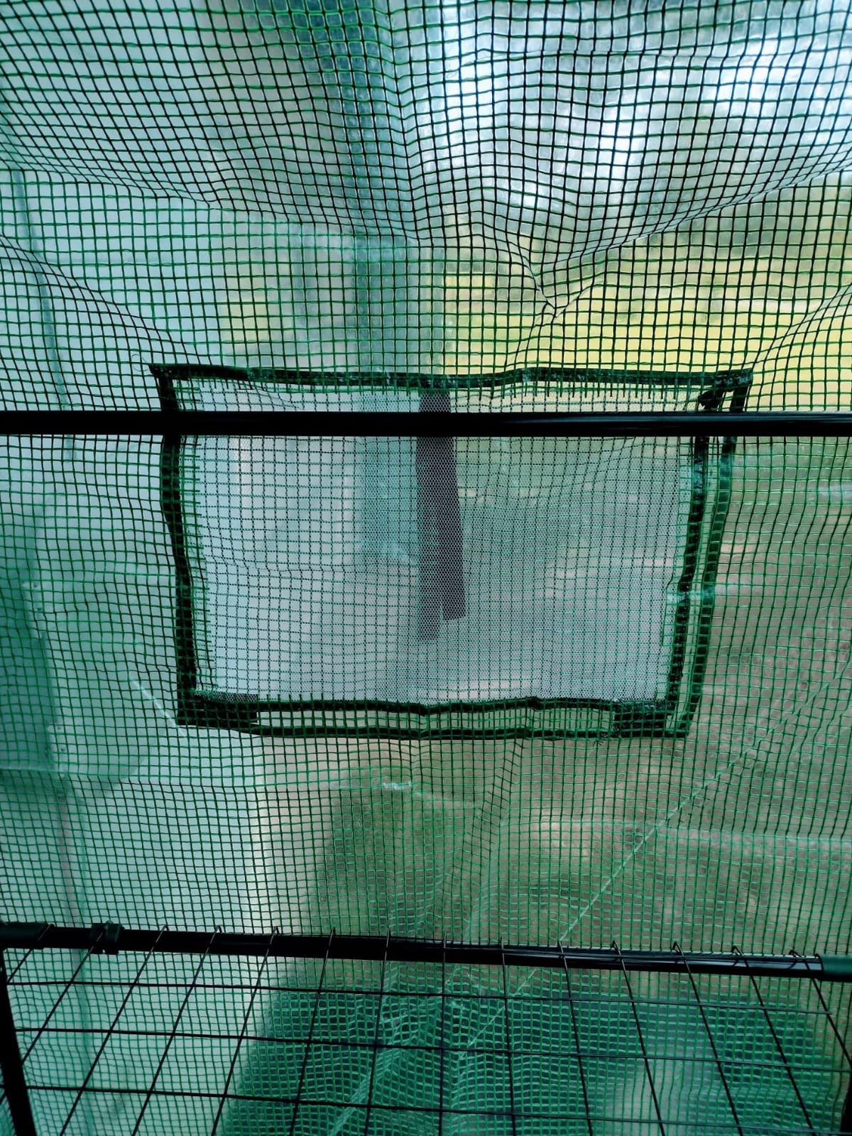 Mini Greenhouse,Greenhouses for Outdoors,Portable Walk in Green House for Garden Plants that Need Frost Protection and Away from Animals(56