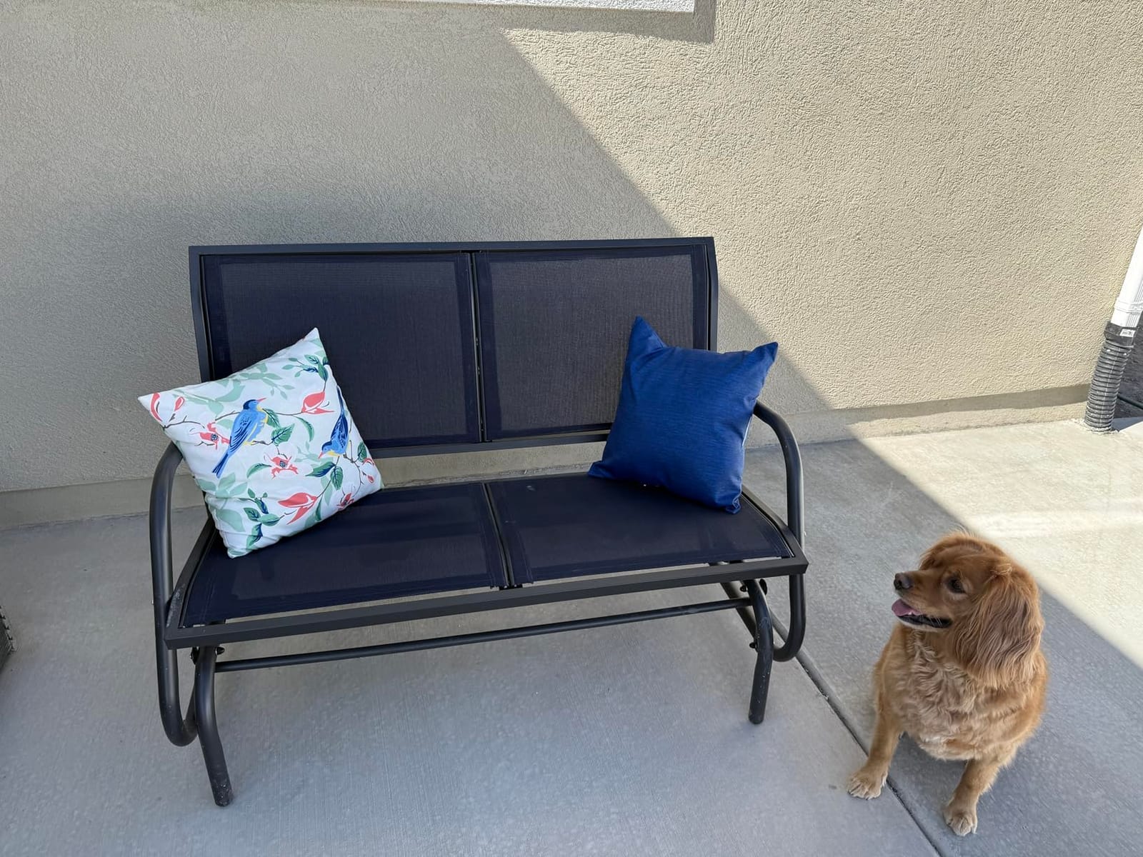Outsunny 2-Person Outdoor Glider Bench with Steel Frame, Gray | Double Swing Rocking Chair, Loveseat, for Outside Patio, Backyard, Garden, Porch, Powder Coated customer photo 2