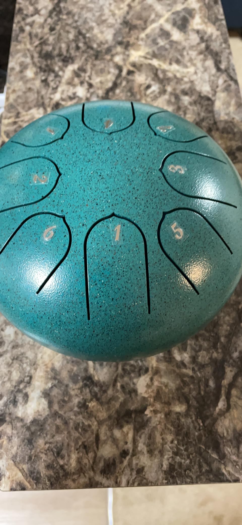 Lronbird Steel Tongue Drum 6 Inch 8 Notes Rain Drum Style Gift | Calming, Relaxation, Meditation, Education, Musical Instrument for Adults Beginners (Malachite) customer photo 2