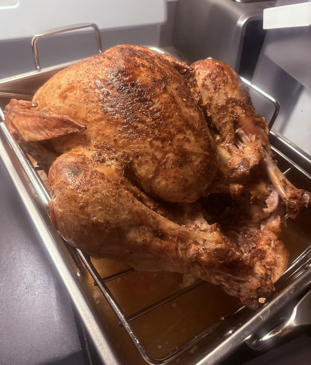 E-far Roasting Pan, 16 x 11.5 Inch Stainless Steel Turkey Roaster with V-shaped & Flat Rack, Non-toxic & Heavy Duty Deep Broiling Pan, Dishwasher Safe - Large customer photo 1