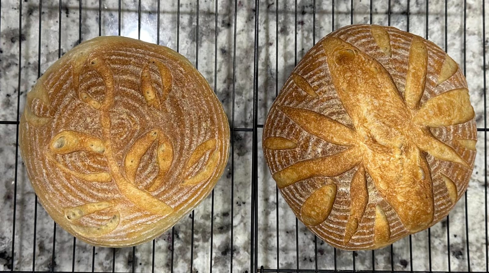 Rattan Banneton Bread Proofing Basket Set of 2, 9 Inch Round | For sourdough, boule and artisan loaves; supports dough during final proof for easier shaping and defined spiral lines customer photo 1