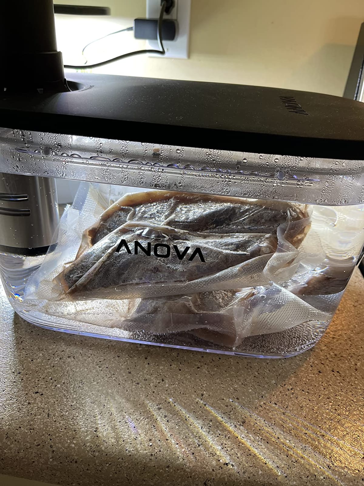 Anova Precision Cooker Container 12L customer photo 1
