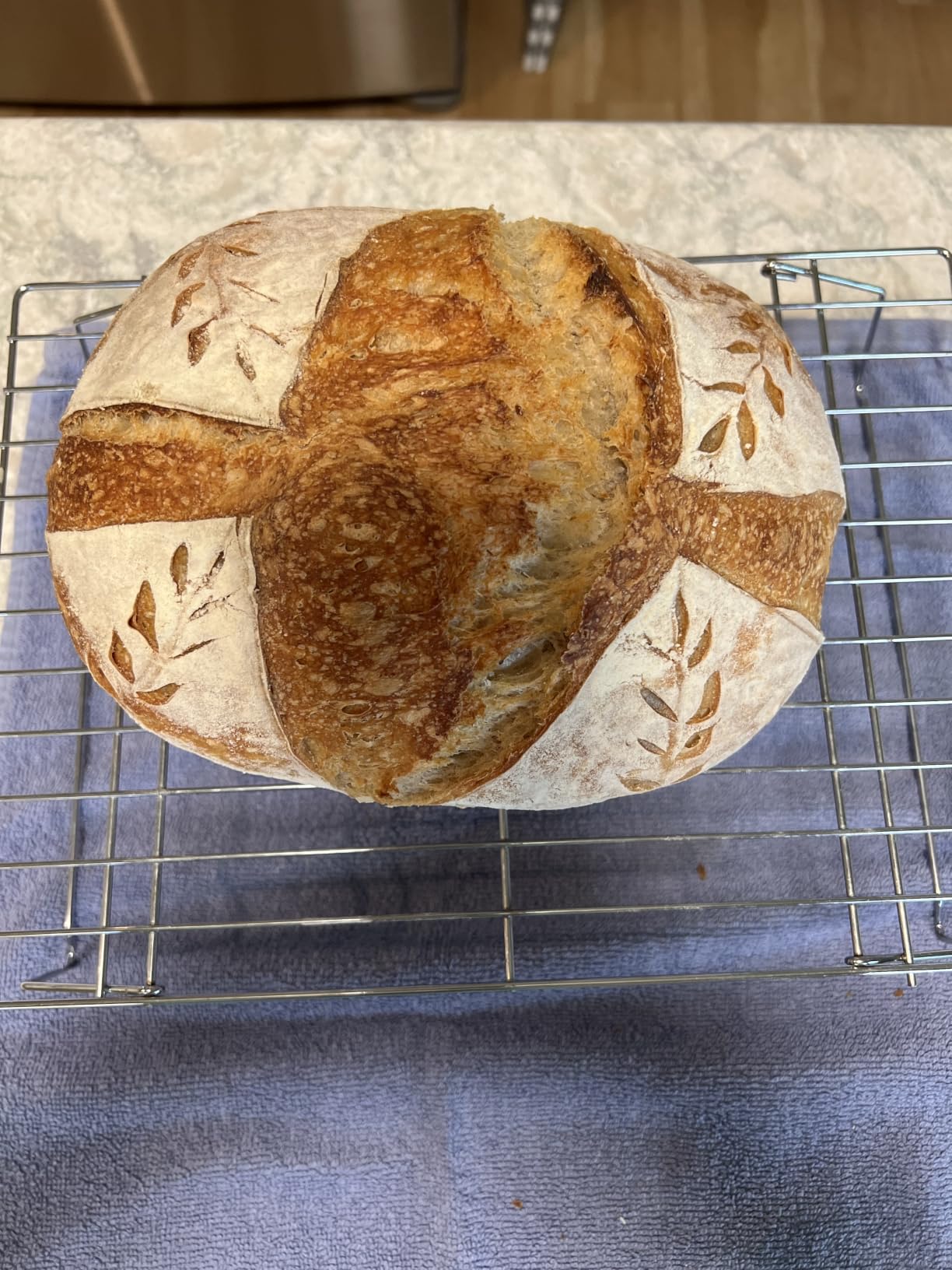 Rorecay Sourdough Starter Kit with Banneton Bread Proofing Baskets | Complete Sourdough Bread Baking Supplies, Beginner Friendly, 9in Round & 10in Oval Rattan Banneton, Sturdy Sour Dough Tool customer photo 1