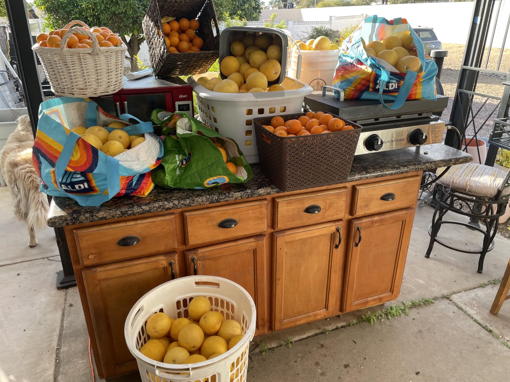 LEBENLANG Orange Juicer Electric - 2 cones & BPA-free, 24oz Lemon Juicer Squeezer, Electric Citrus Juicer customer photo 2