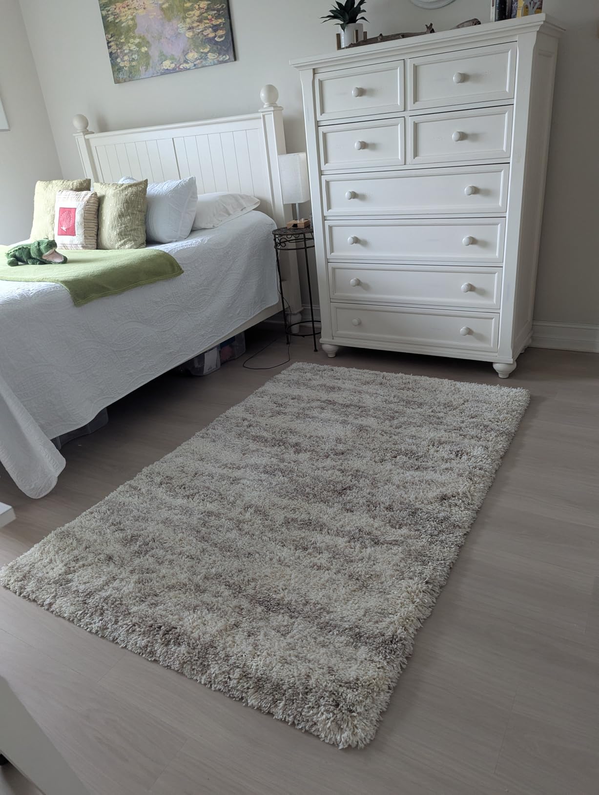 SAFAVIEH Hudson Shag Rug 9x12, Plush Modern Large Ivory & Beige SGH206B customer photo 1