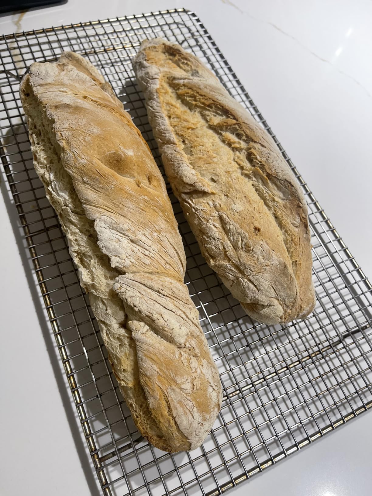 KITESSENSU Nonstick Baguette Pans for French Bread Baking, Perforated 2 Loaves Baguettes Bakery Tray, 15