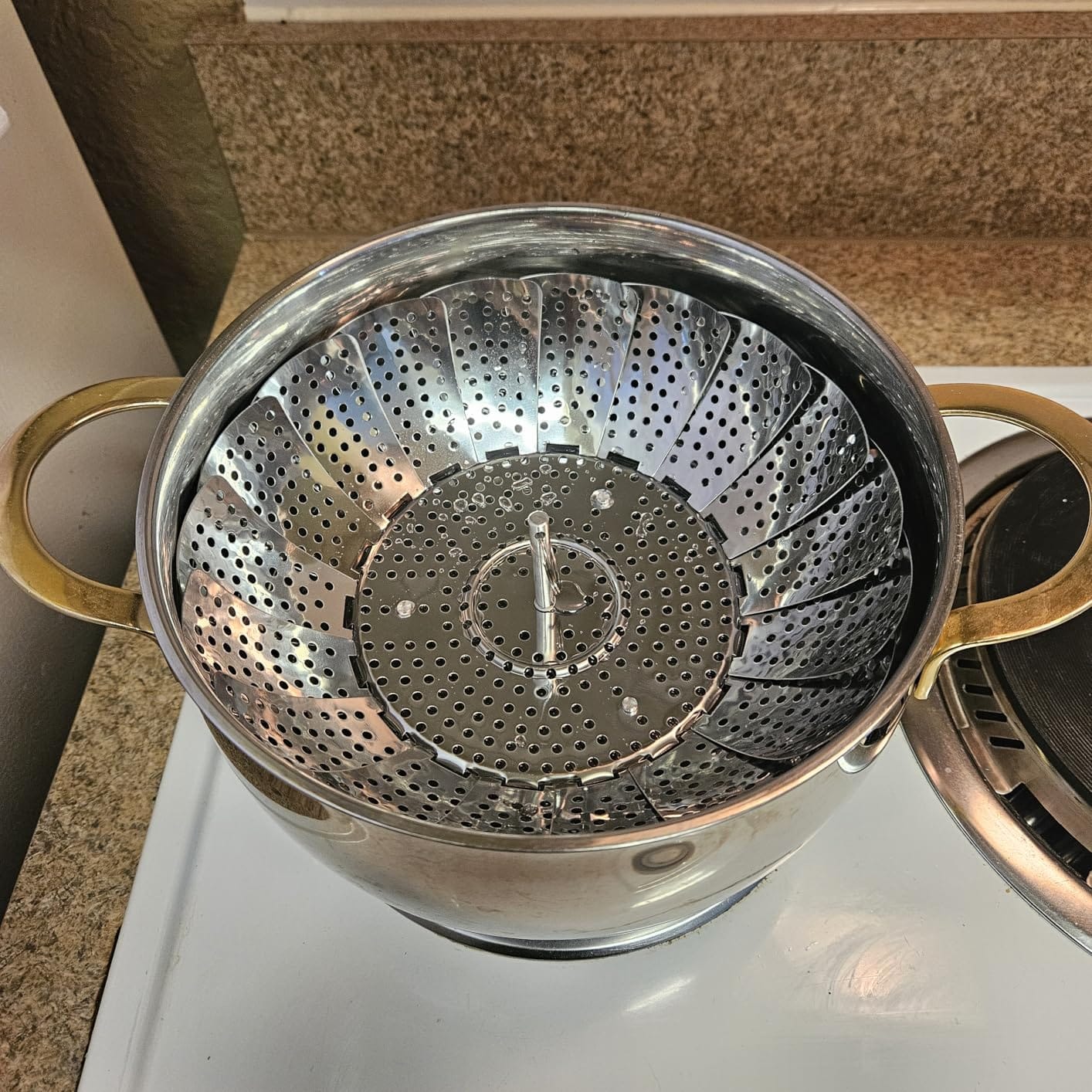 SAYFINE Vegetable Steamer Basket, Premium Stainless Steel Folding Expandable Steamer 5.5