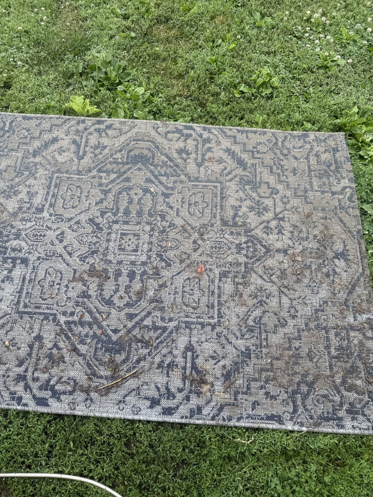 JONATHAN Y Boho Medallion Indoor Outdoor Area Rug 9X12 Navy/Gray, Estrella Textured Weave for Backyard, Patio, Porch, Easy-Cleaning, High Traffic, Pet-Friendly, Non-Shedding customer photo 1