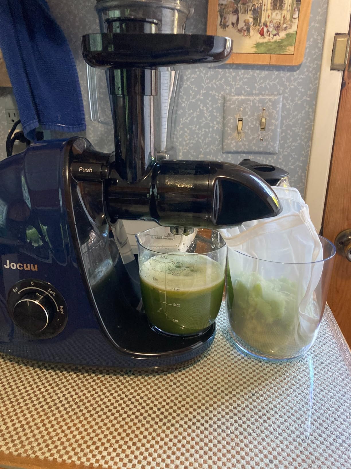 Jocuu Slow Masticating Juicer with 2-Speed Modes - Cold Press Juicer Machine - Quiet Motor & Reverse Function - Easy to Clean Juicer Extractor - Juice Recipes for Fruits & Vegetables (Black) customer photo 1