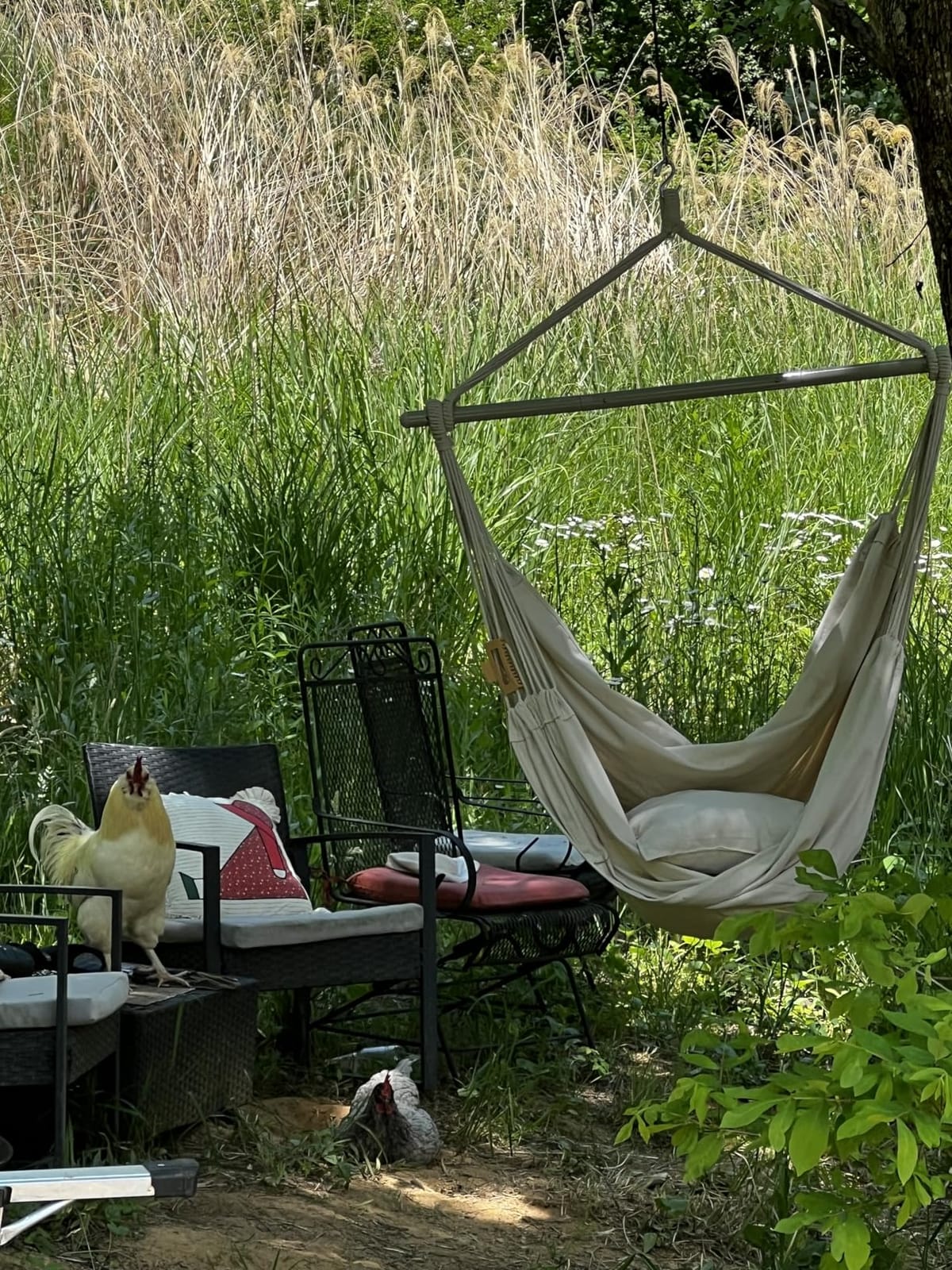 ADVOKAIR Hammock Chair Large 70.9