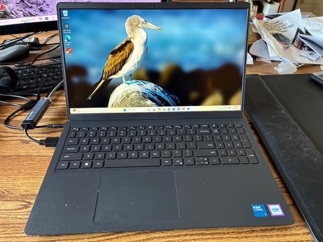 Dell 15.6 Laptop, FHD, Intel Core 3 100U, 8 GB RAM, Windows 11 Home, Anti-Glare IPS WVA, 250 nits, Intel UHD Graphics, DDR4, 512GB SSD, Wi-Fi 6 & Bluetooth, DC15250 customer photo 1