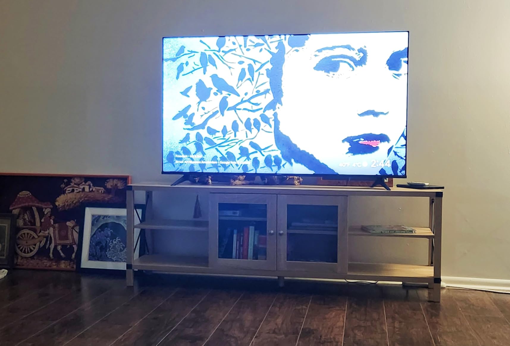 50-Inch Class A6 Series 4K UHD Smart Google TV with Alexa Compatibility, Dolby Vision HDR, DTS Virtual X, Sports & Game Modes, Voice Remote, Chromecast Built-in (50A6H) customer photo 2