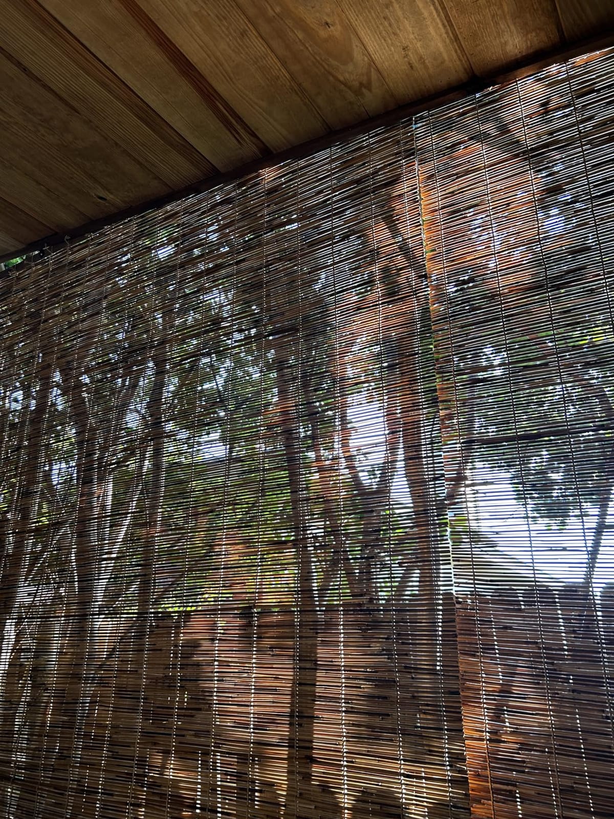 Forever Bamboo Light-Filtering Cord-Free Bamboo Reed Roll-Up Blind Shades for Windows Manual Roman Blinds Coffee 48 in W x 72 in H customer photo 1