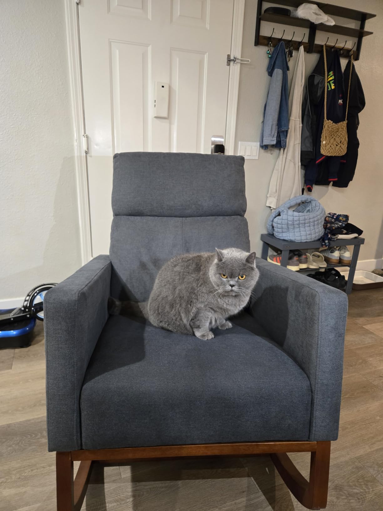 Yaheetech Rocking Chair, Upholstered Glider Chair with Side Pocket, Nursery Chair with High Backrest and Rubber Wood Legs, Rocking Accent Armchair for Living Room Bedroom Nursery, Gray customer photo 2