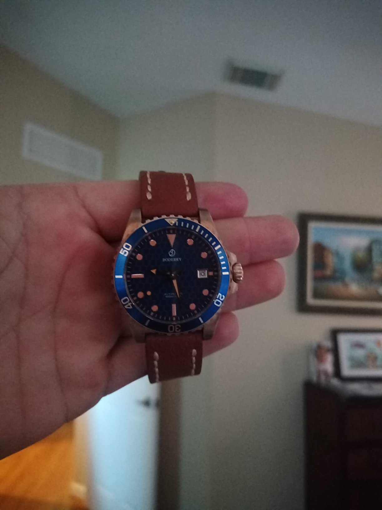 Original Japanese Automatic Dive Watches for Men, Bronze Case with Sapphire Crystal - 100M Waterproof Mens Mechanical Wrist Watches with Rotating Bezel & Screw Down Crown customer photo 2