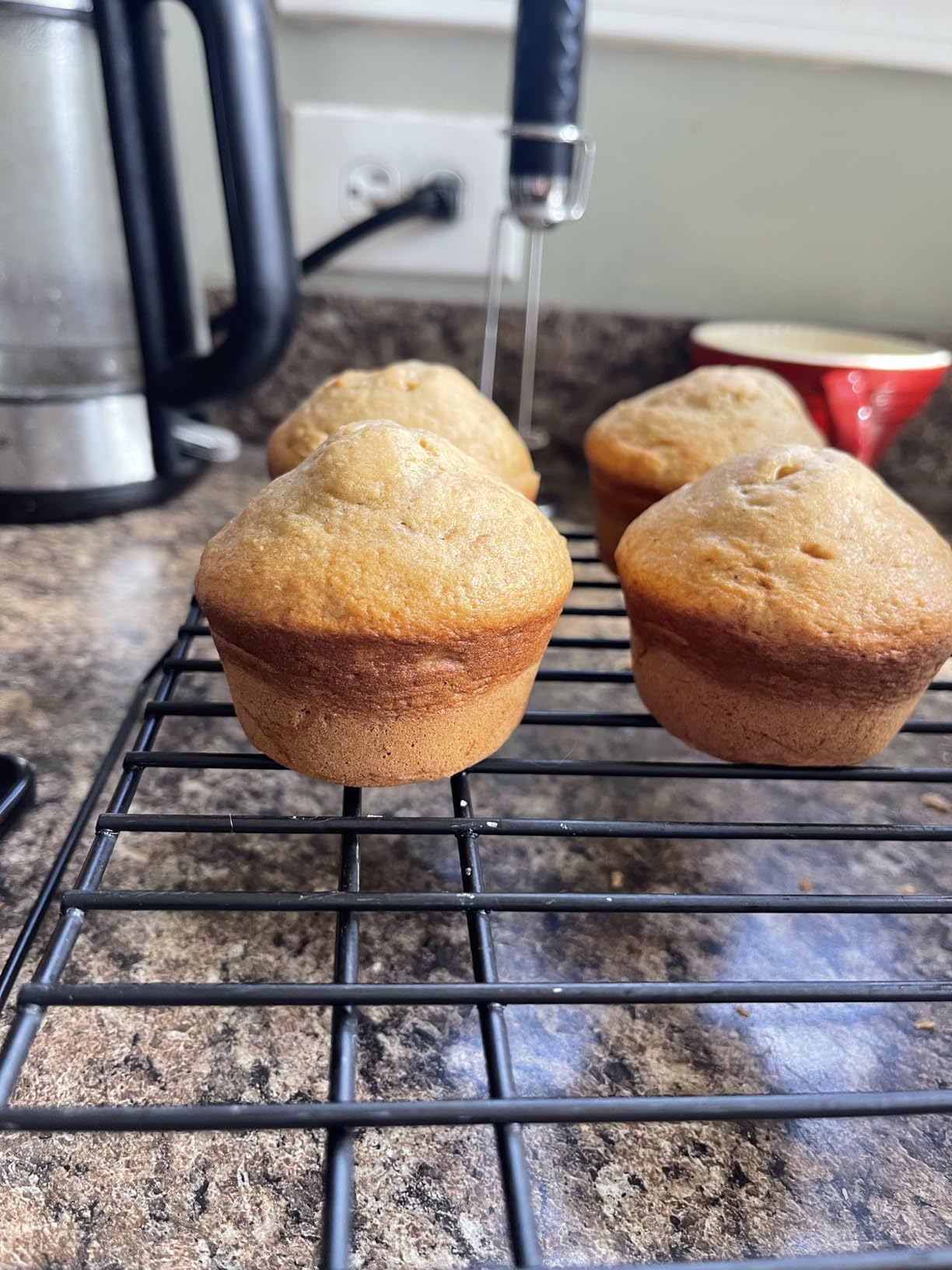 Lodge Seasoned Cast Iron Muffin Pan Set - Six-Well Bakeware Set for Muffins, Cupcakes, Cornbread & Homemade Favorites - Includes Looped Handles - 2-Pack customer photo 1