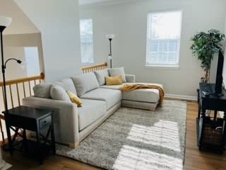 SAFAVIEH Hudson Shag Rug 10x14, Plush X-Large Ivory & Grey SGH295B customer photo 1