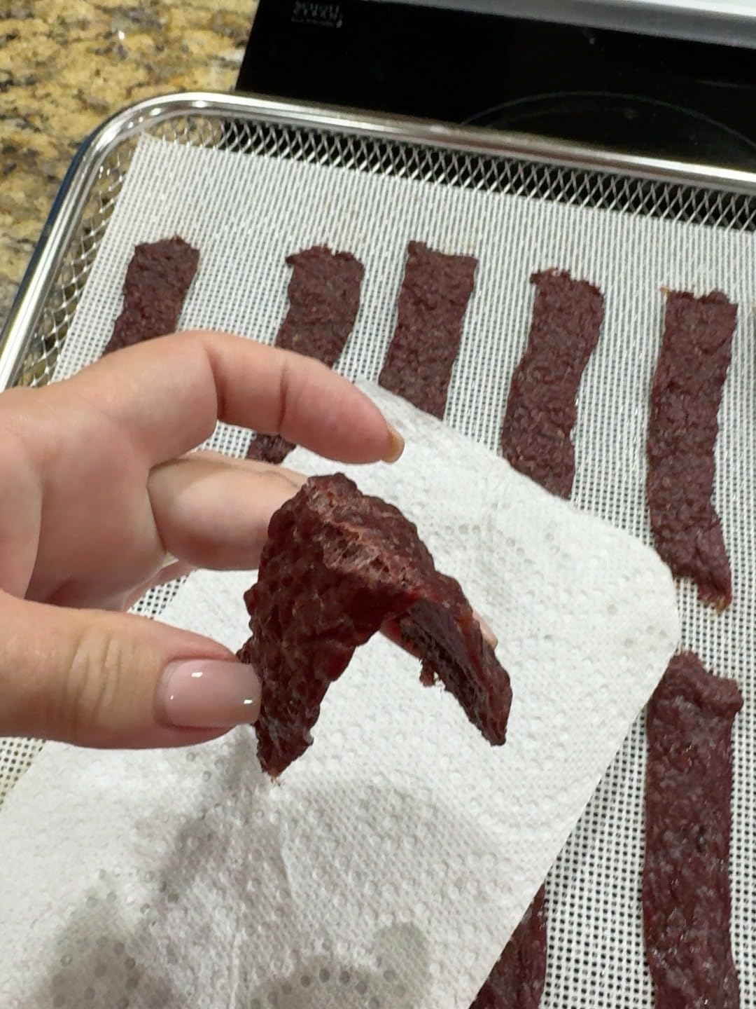 Professional Beef Jerky Gun Kits, Stainless Steel Jerky Maker, Jerky Cannon, Meat Gun with 5 Stainless Nozzles and 5 Brushes customer photo 1