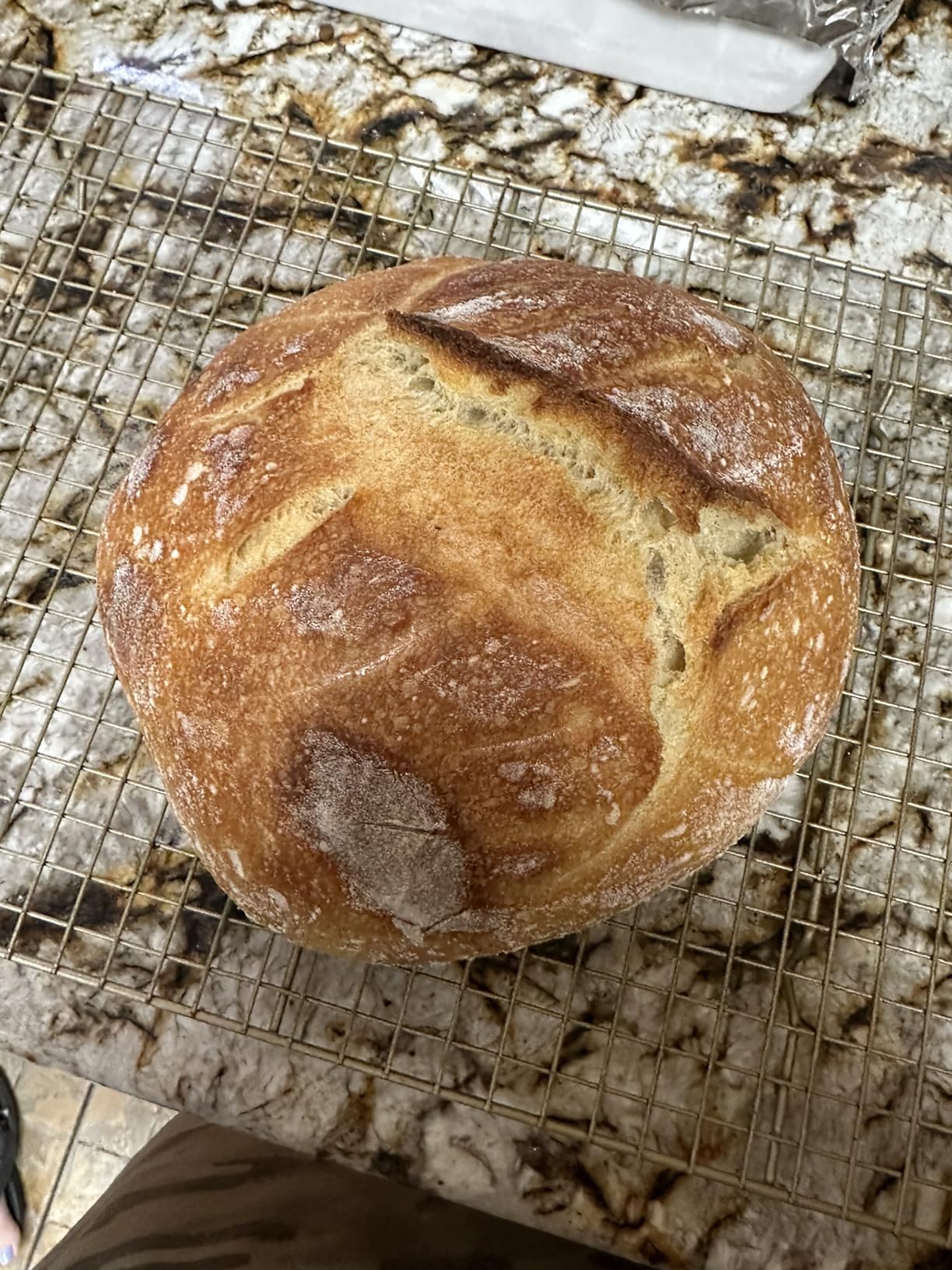 Saint Germain Bakery Premium Round Bread Banneton Basket with Liner - Perfect Brotform Proofing Basket for Making Beautiful Bread (9 inch) customer photo 2
