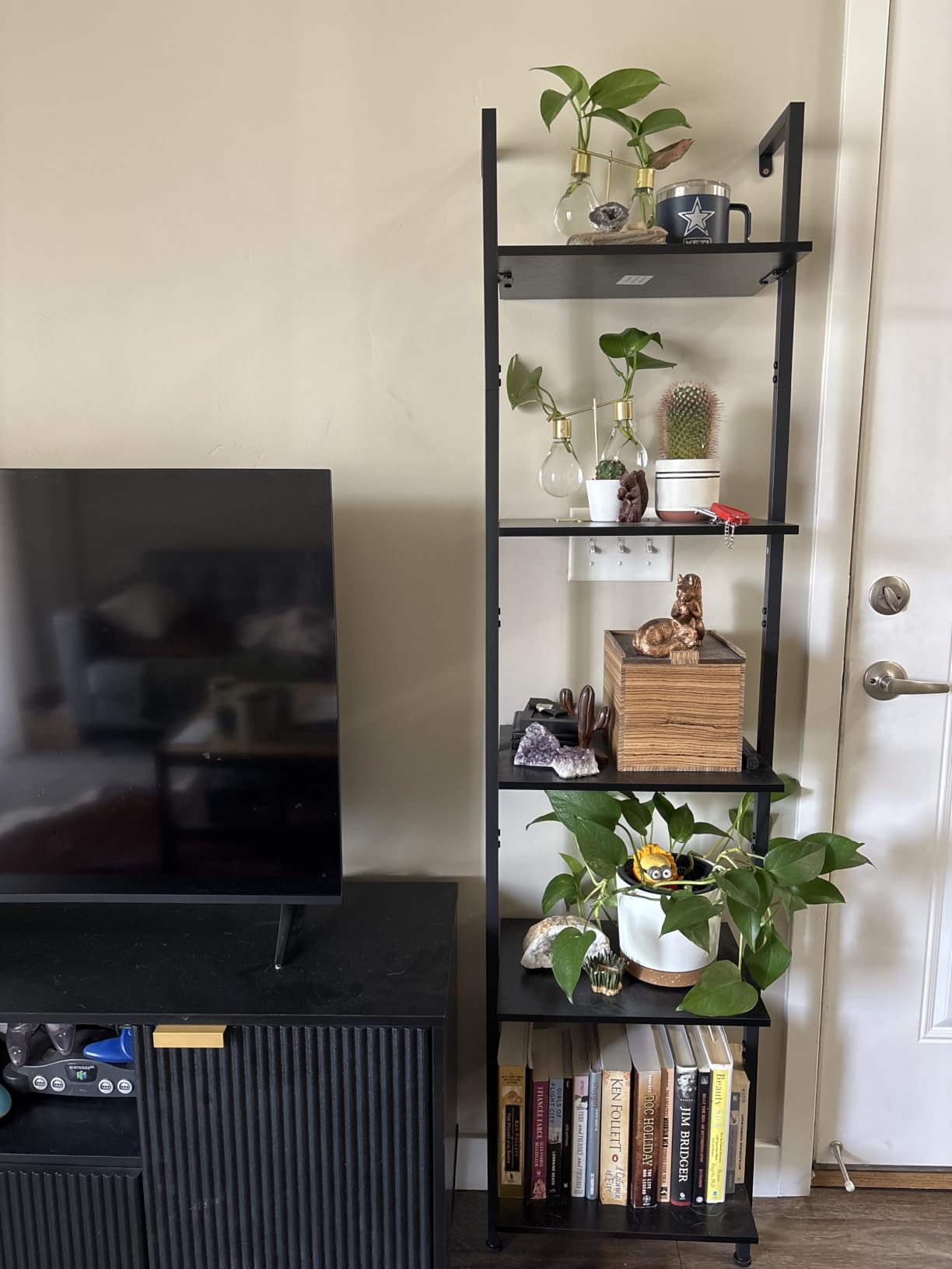 ELYKEN Ladder Shelf, 5-Tier Wood Wall Mounted Bookshelf with Metal Frame, Vintage Open Display Organizer Rack, Leaning Storage Shelves for Living Room, Bedroom, Home Office, Black customer photo 2
