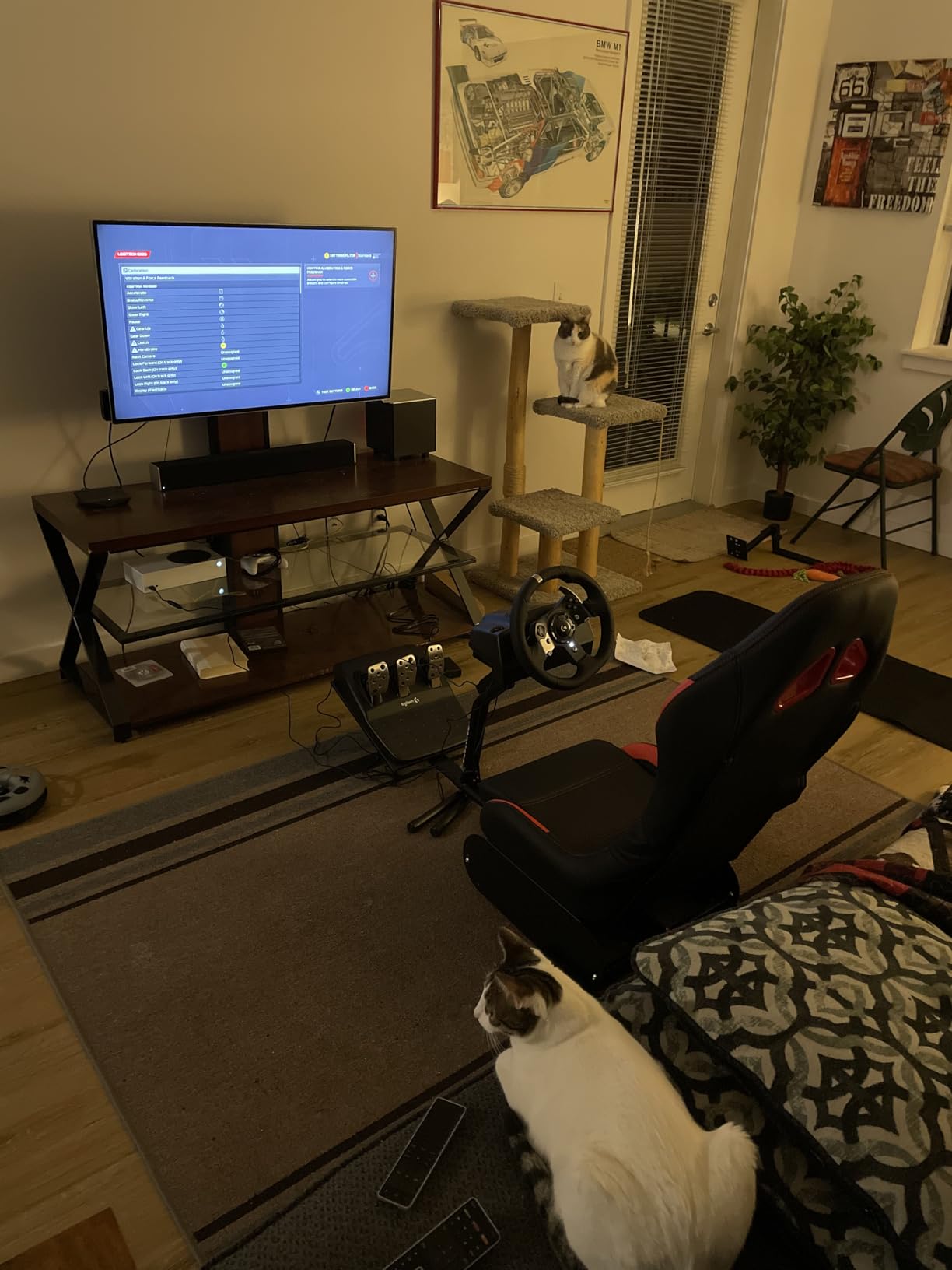 DIWANGUS Racing Simulator Cockpit Racing Wheel Stand with Seat Gaming Chair Sim Racing Cockpit for G29 G920 G923 G PRO RS50 T248 T300RS R3 R5 R9 R12 R16 R21 R25 PS4 PS5 PC Accessories customer photo 1