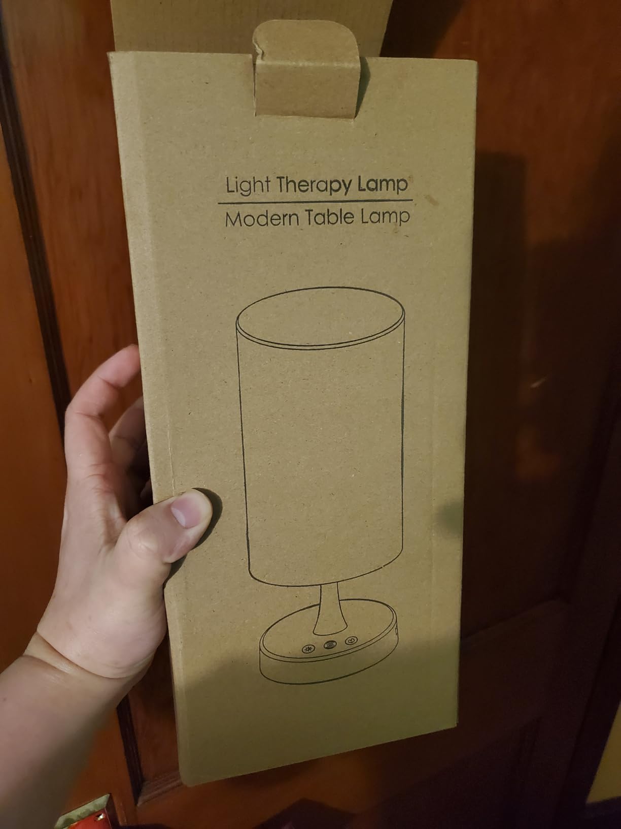 Caromolly Light Therapy Lamp, Sunlight Lamp 10000 Lux with Remote Control, 3 Color Temperature & 4 Brightness Level & Timer, Daylight Lamp for Home, Office, Decoration customer photo 1