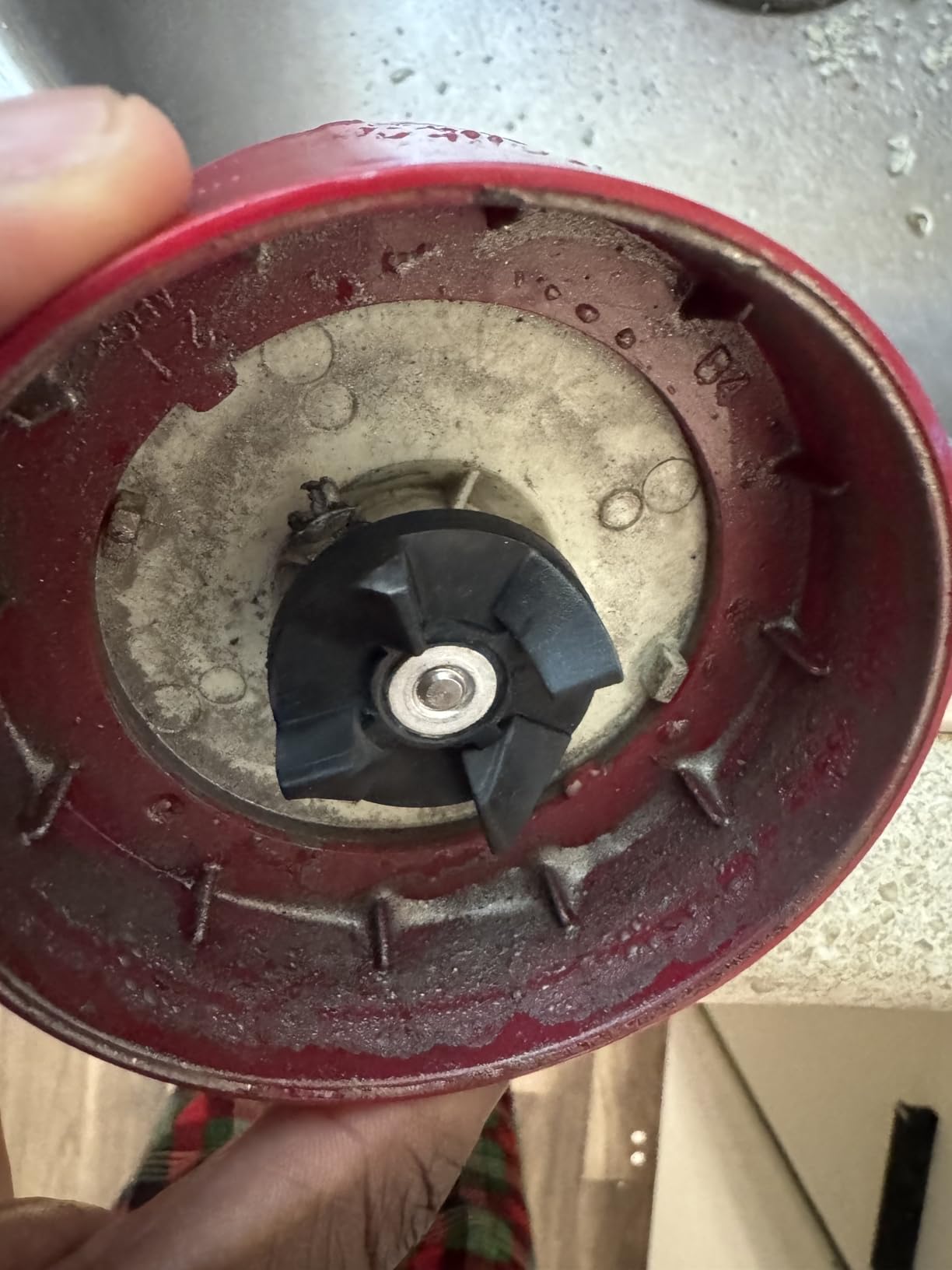 Ganiza Smoothie Blender, 900W Blenders Shakes and Smoothies | 15-Piece Personal Blender and Grinder Combo for Kitchen, Smoothies Maker with 4 BPA-Free Portable Cup, Nutritious Recipe customer photo 1