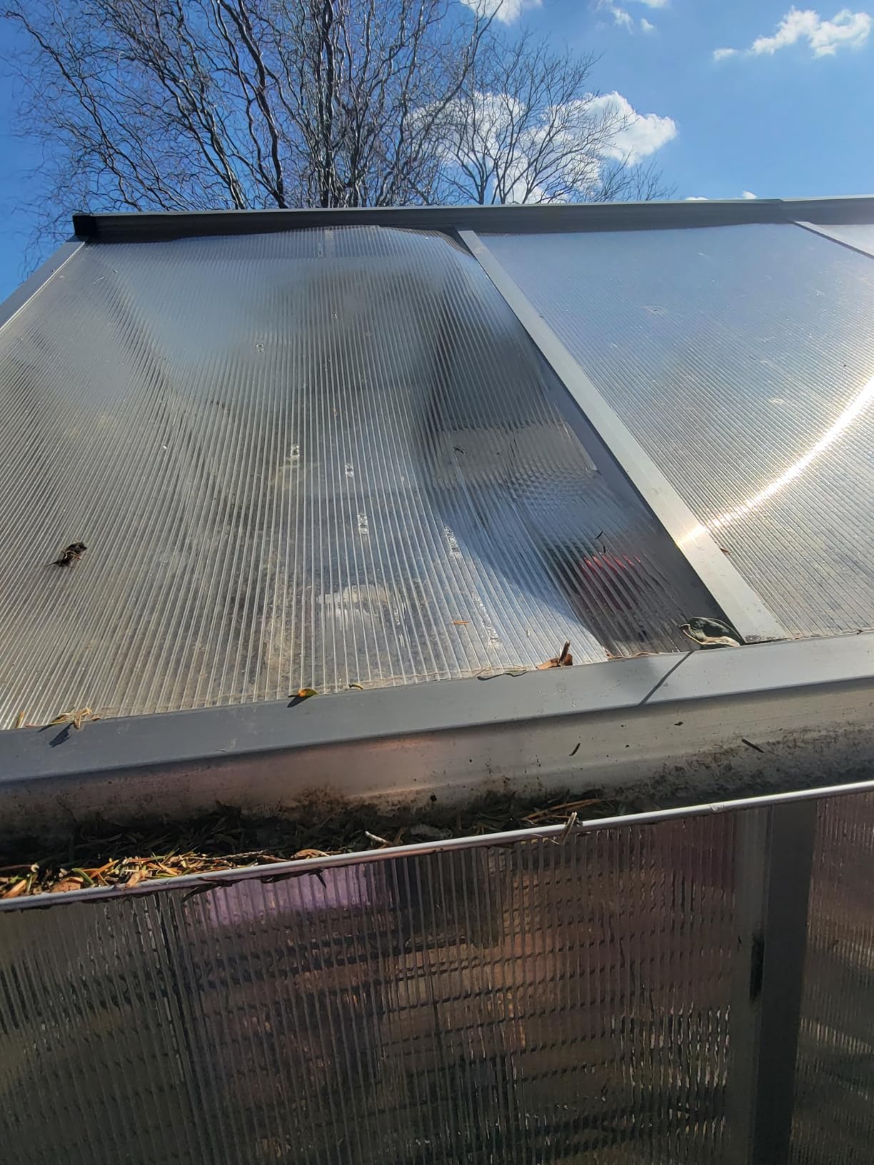 Outsunny 8' x 6' Greenhouse for Outdoors, Polycarbonate Greenhouse with Rain Gutter and Roof Vent, Aluminum Walk-in Green Houses for Outside Patio Backyard Garden customer photo 2