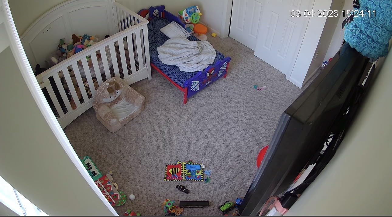 Delta Children Spidey and His Amazing Friends 3D Toddler Bed, Blue customer photo 1