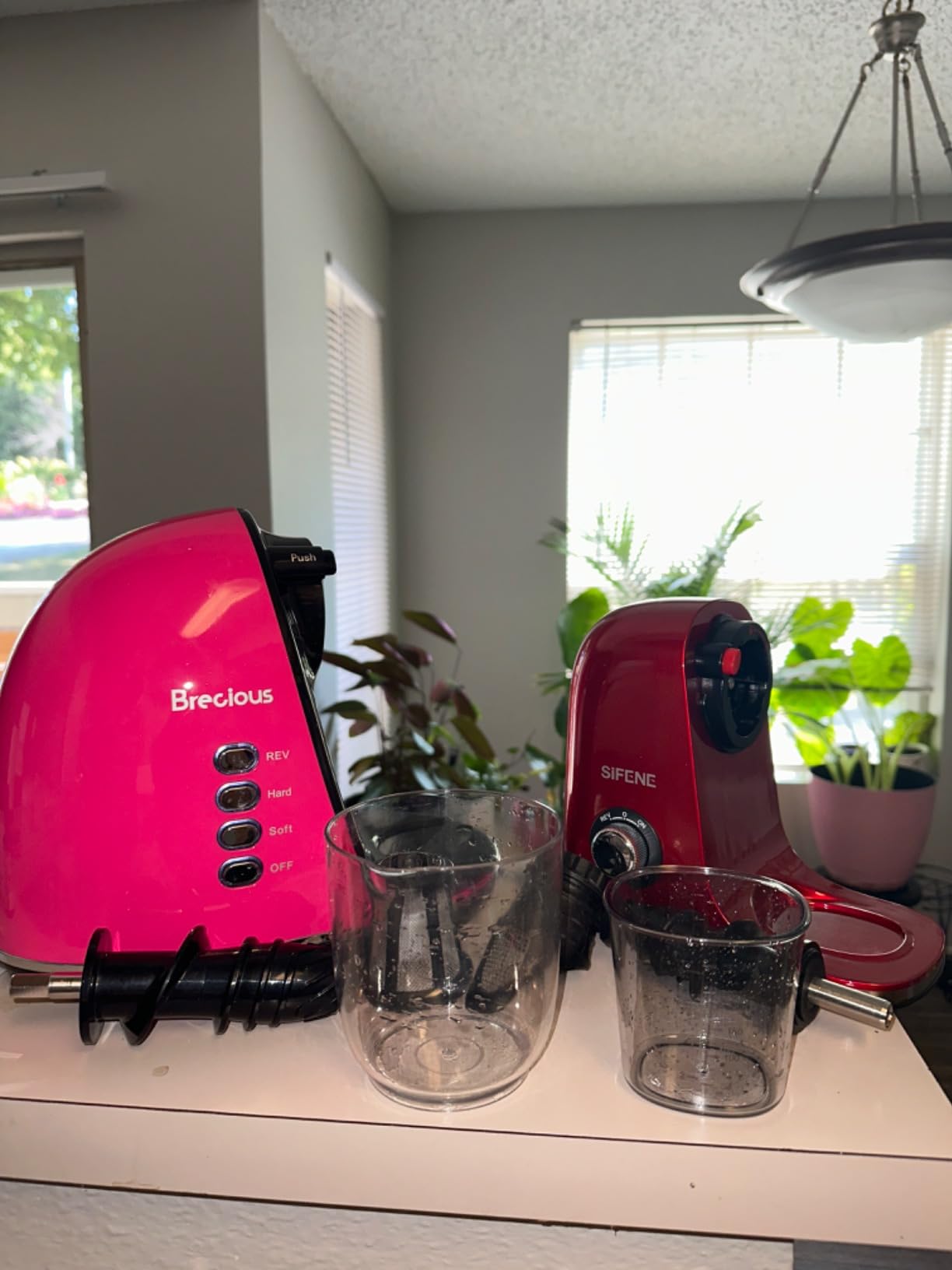 Slow Masticating Juicer, Brecious Cold Press Juicers with 2 Speed Modes & Quiet Motor, Juicers Machines Vegetable and Fruit with Reverse Function, Celery Juicer, BPA-Free, Easy to Clean (Silver) customer photo 2