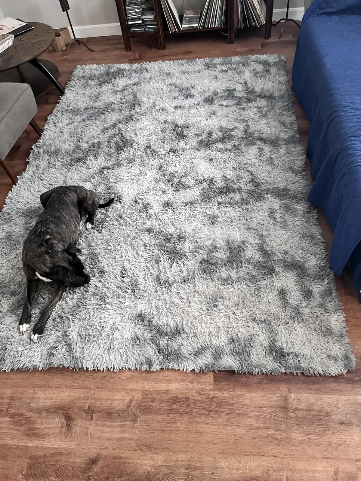 Deerhoo Large Shag Area Rugs 6 x 9, Light Grey | Tie-Dyed, Ultra Soft Plush Fuzzy, Washable, For Living Room, Bedroom, Indoor Carpet Nursery Kids Teen Home Decor customer photo 2