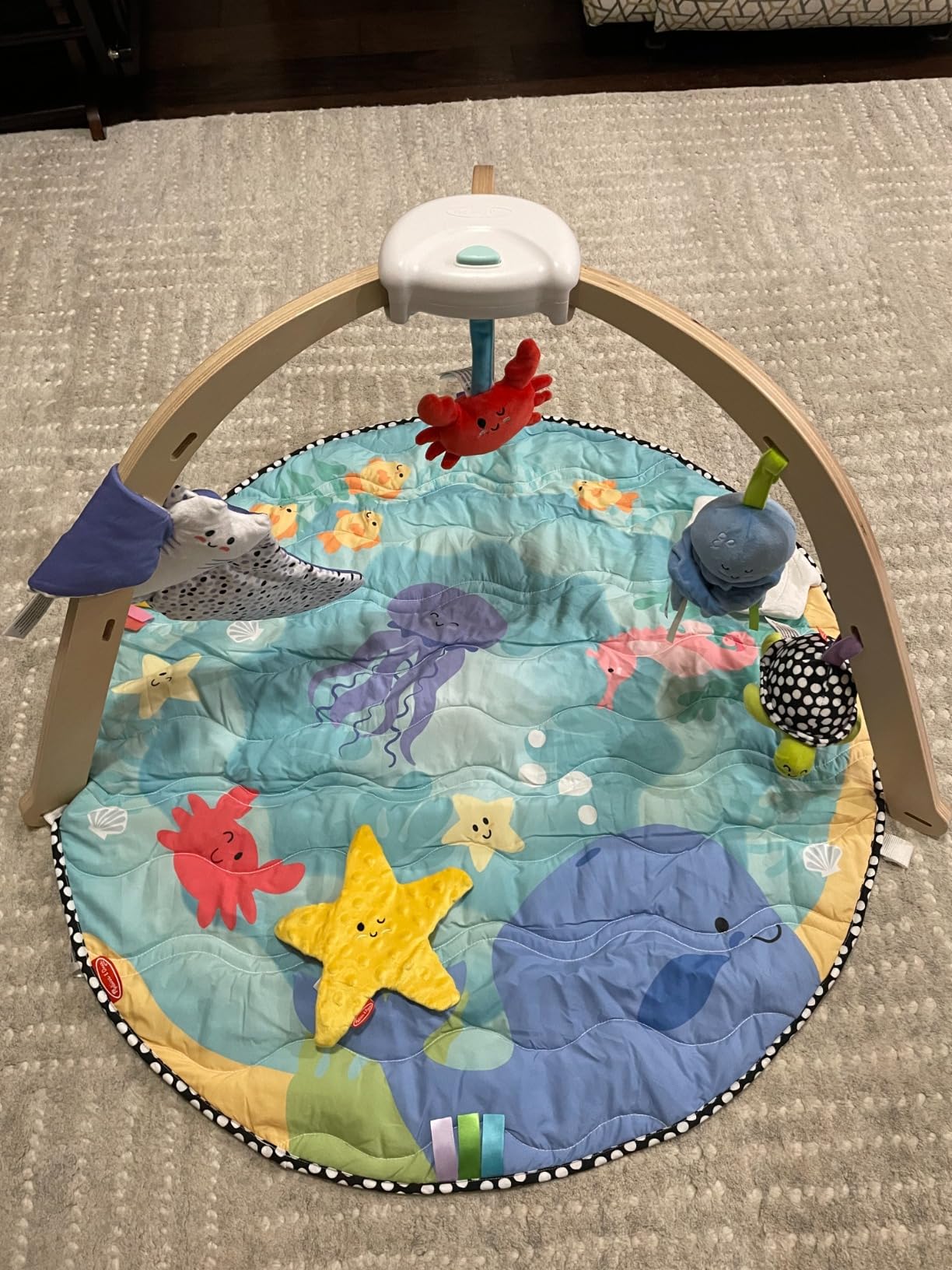 Melissa & Doug Ocean Wooden Baby Play Gym, Easy-Fold Baby Activity Center, 5 Washable Sensory Toys & Reversible Play Mat, Infant Toys, Ages 0–9 Months - FSC Certified customer photo 1