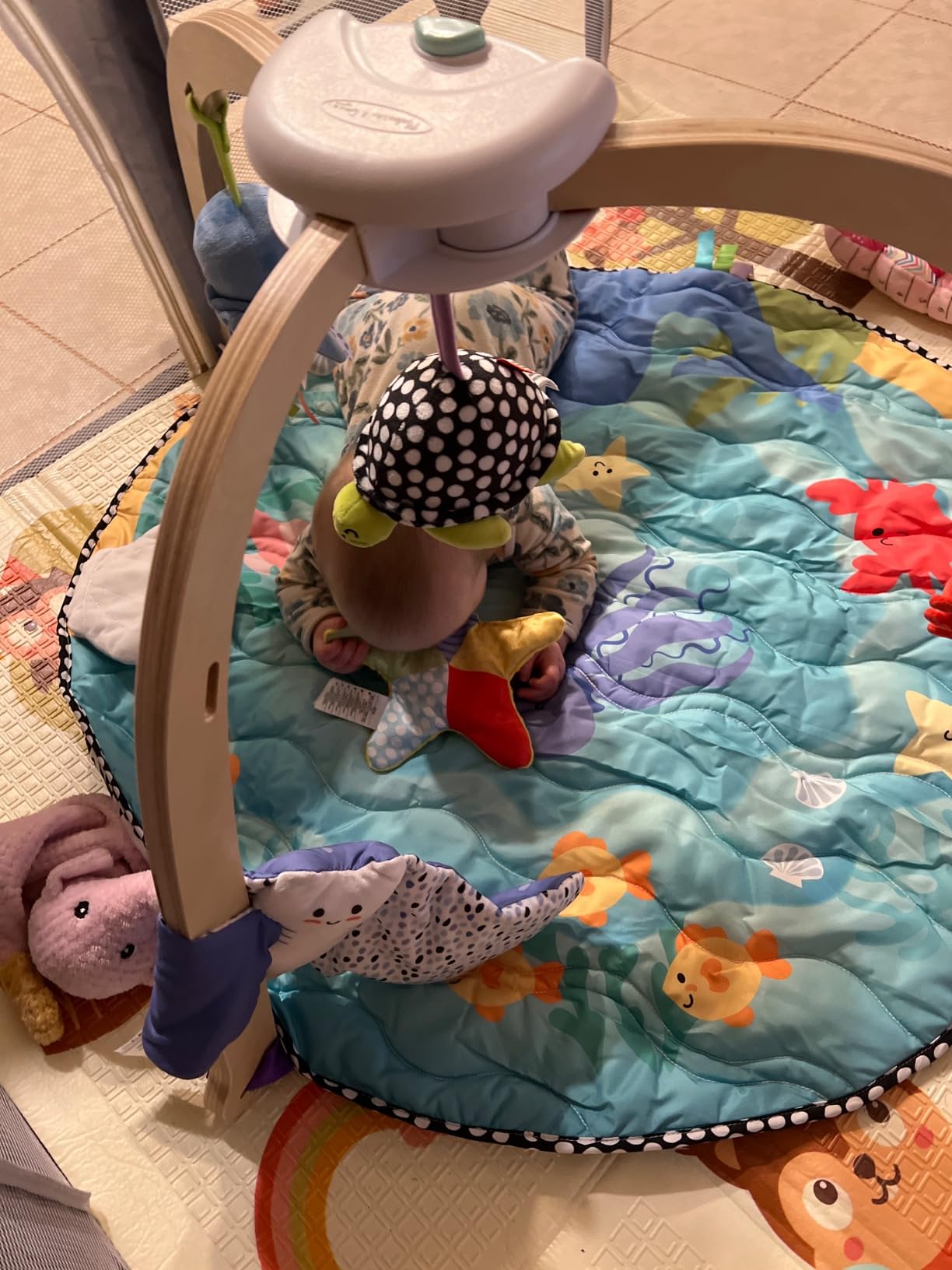 Melissa & Doug Ocean Wooden Baby Play Gym, Easy-Fold Baby Activity Center, 5 Washable Sensory Toys & Reversible Play Mat, Infant Toys, Ages 0–9 Months - FSC Certified customer photo 2