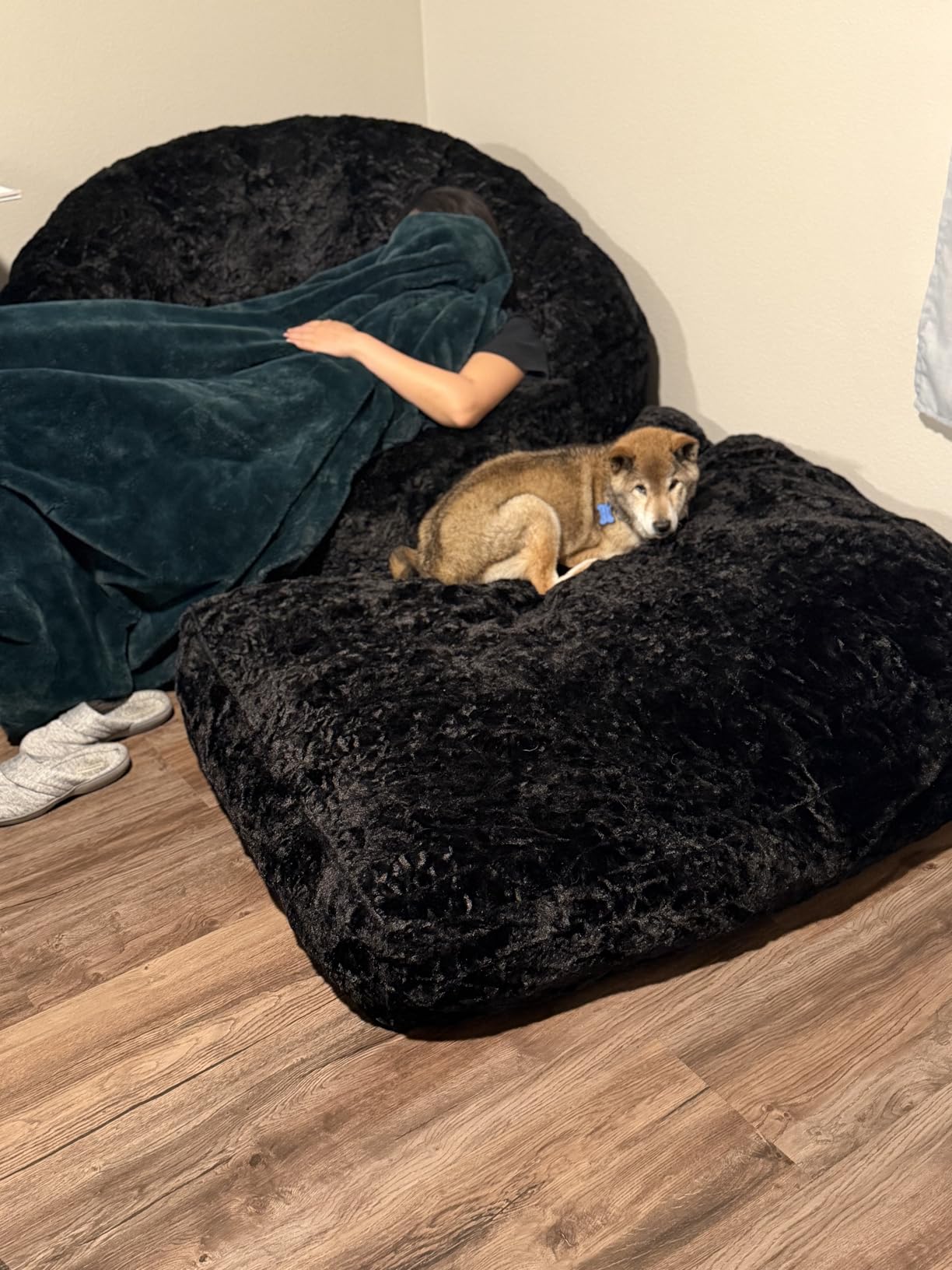 MAXYOYO Giant Bean Bag Chair, Oversized Shell Shape Bean Bag | Faux Fur Large Chair with Filler, Stuffed Big Lounge Floor Sofa for Bedroom Living Room Reading, Beige customer photo 2