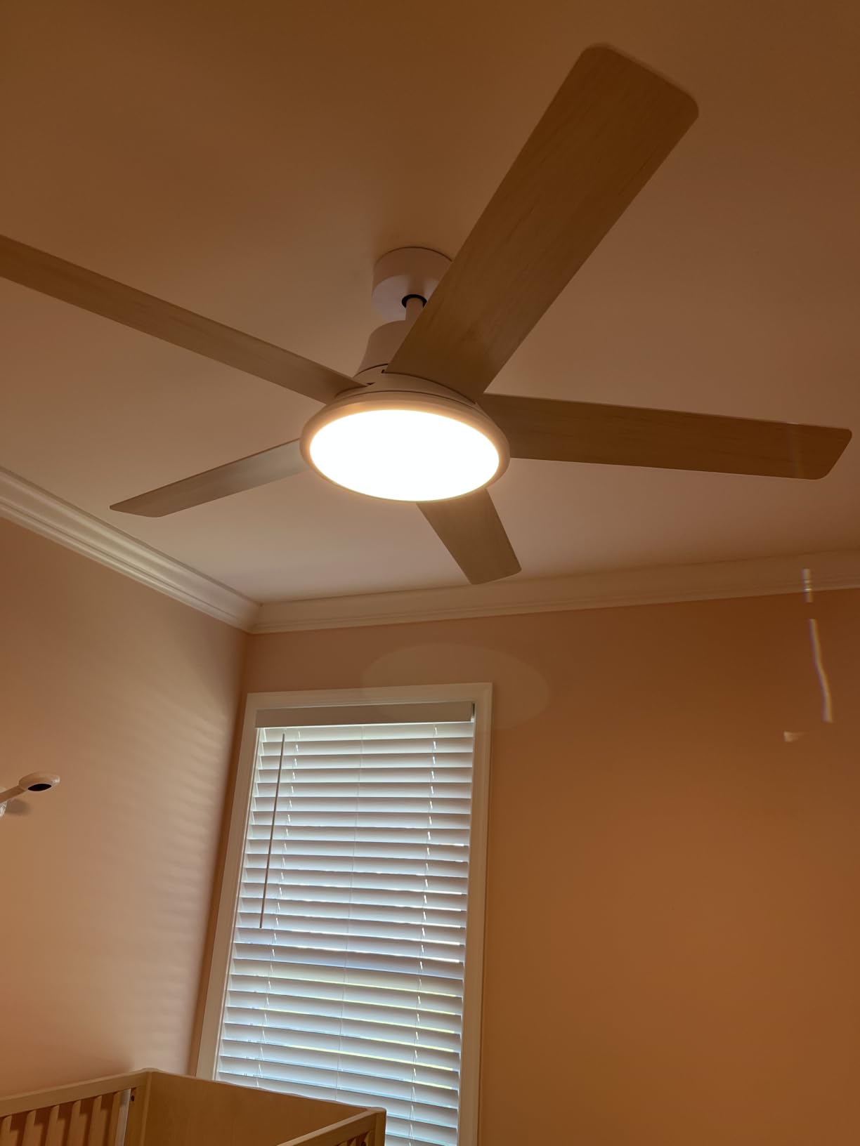 DREO Smart Ceiling Fan with Lights, 52 Inch, 12 Speeds & 3 Fan Modes, Stepless, Dimmable LED Light, Timer, 22dB Quiet DC Motor, Remote/APP/Alexa Control, Black Ceiling Fans Indoor, 2026 Upgraded customer photo 1