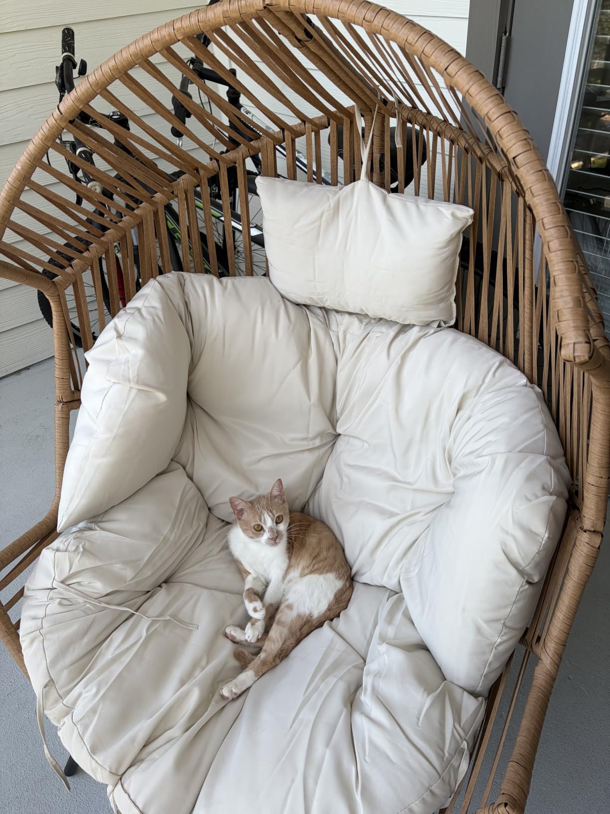 Vongrasig Outdoor Wicker Egg Chair PE Rattan Chair with Cushion, Oversized Patio Lounge Chair for Outdoor, Indoor, Balcony, Backyard, Garden, Beige customer photo 2