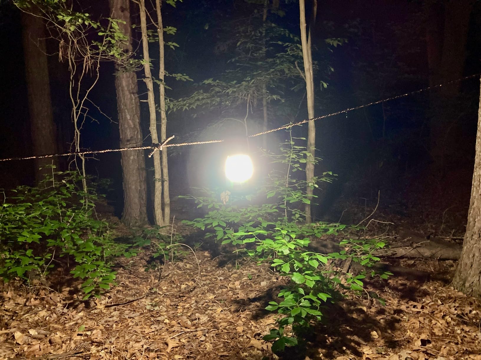 Rechargeable Emergency Lantern 3000 Lumens Camping Light | 7500mAh Power Bank, 5 Modes, IP54 Weather Resistant, Rechargeable Light for Camping & Power Outages customer photo 1
