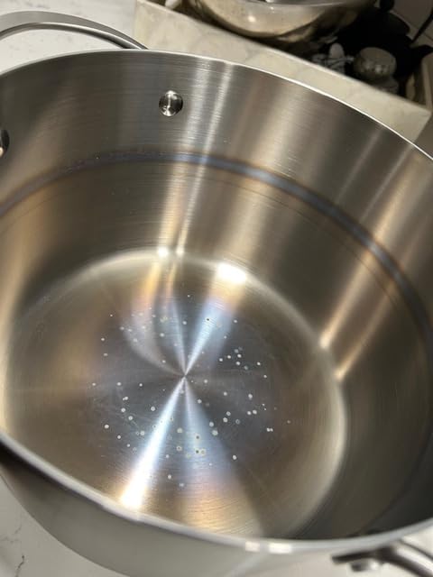 LOLYKITCH 5-Quart Tri-Ply Stainless Steel Steamer Pot with Glass Lid | Steaming Pot for Cooking | 2 Tier Induction Steamer Pot for Tamales Seafood Vegetables Dumplings | Stock Pot | Thick customer photo 1